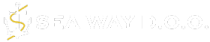 l1 (1)